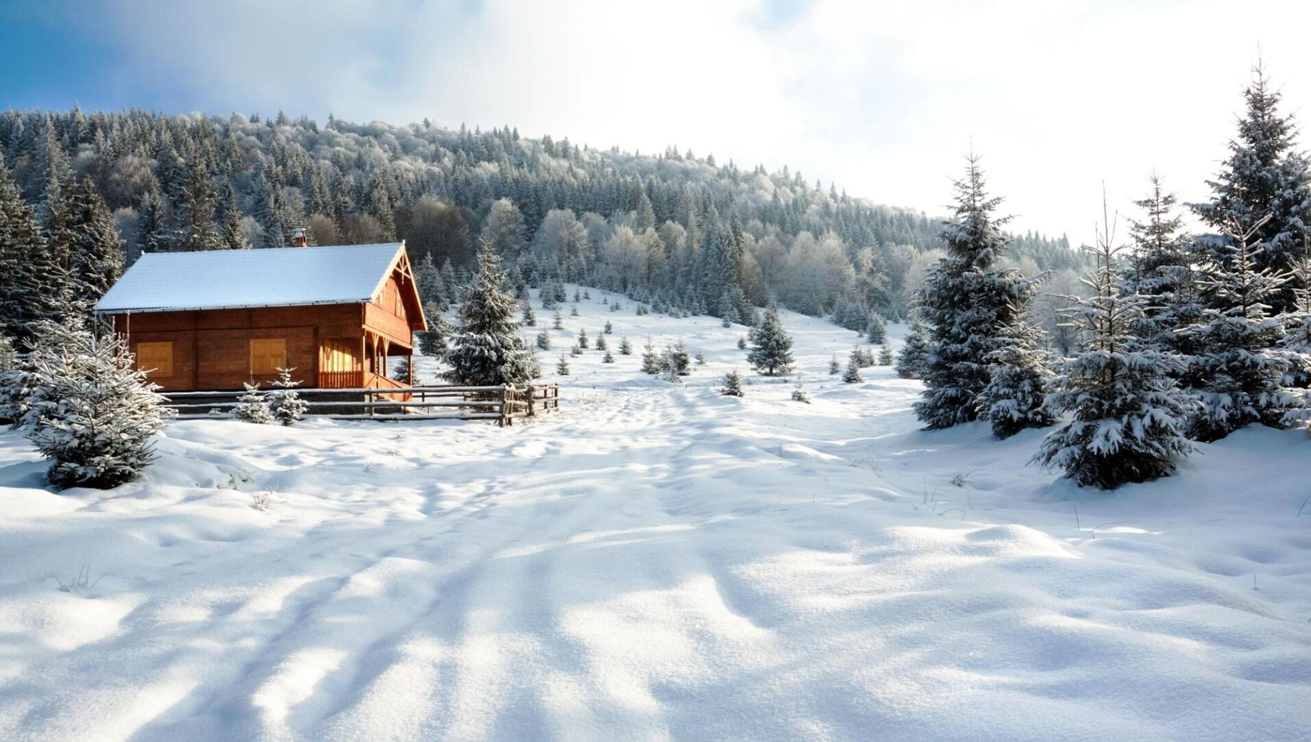 Transformative Techniques in Winter Photography: A Detailed Guide